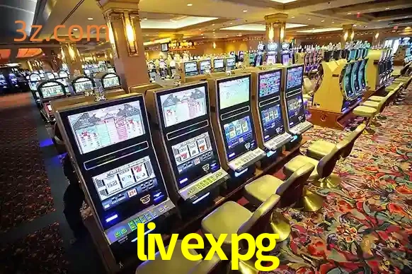10 Perfis de Indivíduos que Exigem Cautela no livexpg Cassino